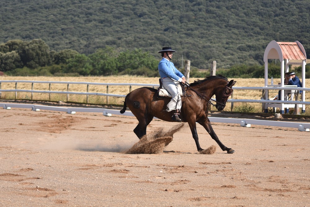 La Doma Vaquera abre el tel&oacute;n